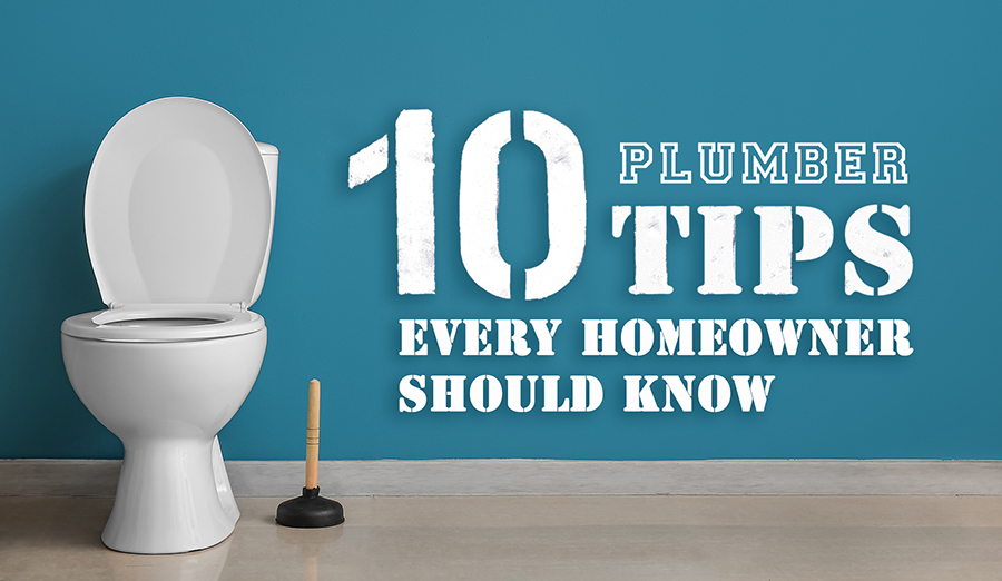 Ceramic toilet bowl and plunger near blue wall