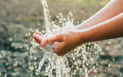 Global Hand Washing Day