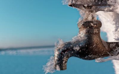 Winter Special