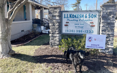 St. Louis Diaper Bank Ambassador