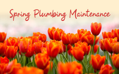 Spring Plumbing Maintenance