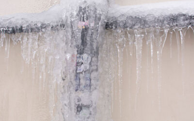 Why Preventing Backflow Matters