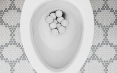 Product Highlight: American Standard Champion Toilet